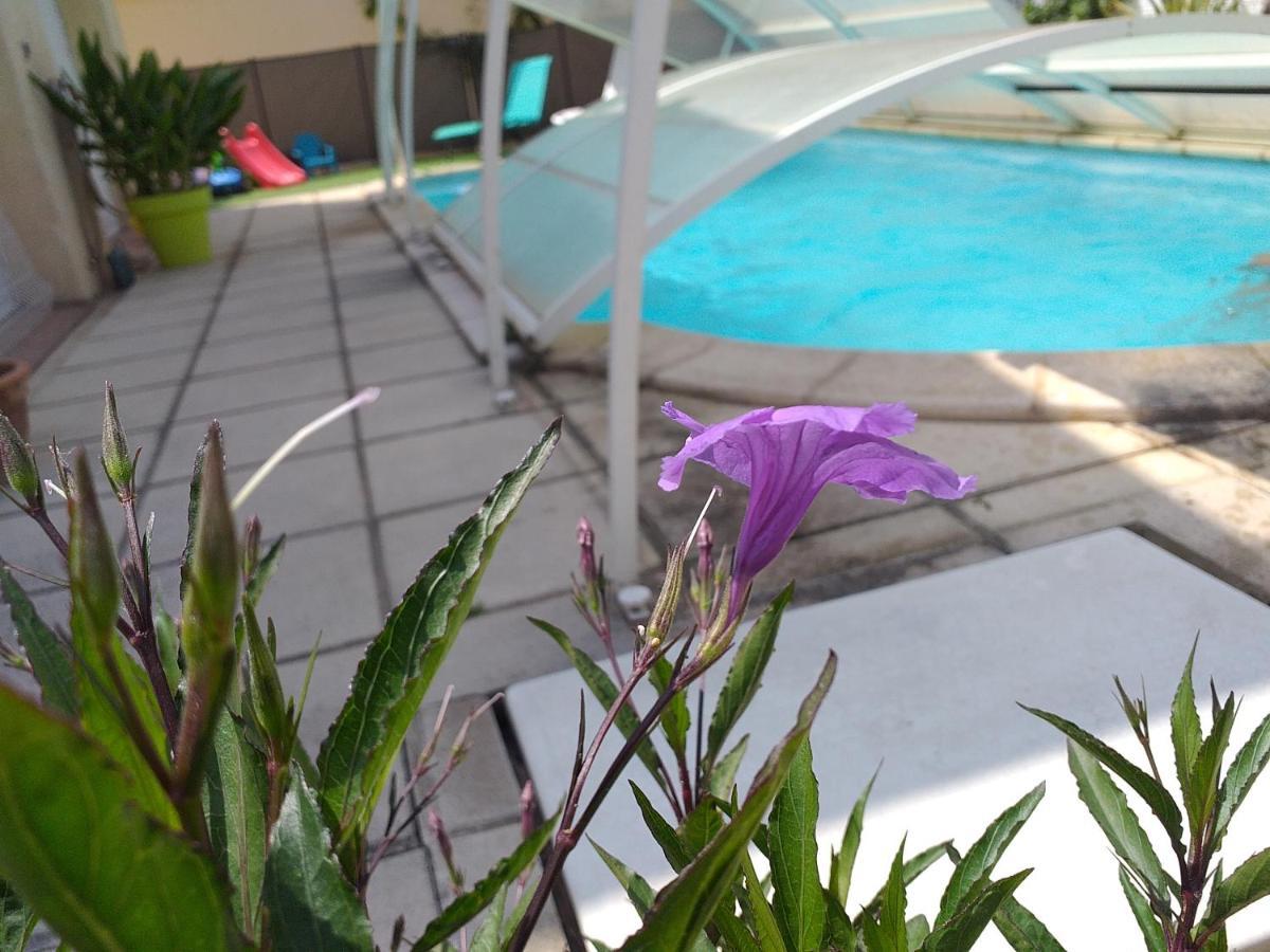 Appartement Lumineux Et Spacieux Elne Zewnętrze zdjęcie